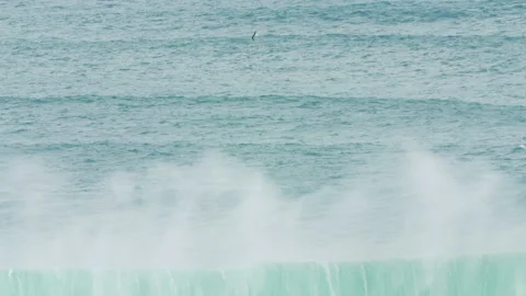 Slow motion of big ocean waves lifting up from surface with seagull flying above Stock Footage 157155808