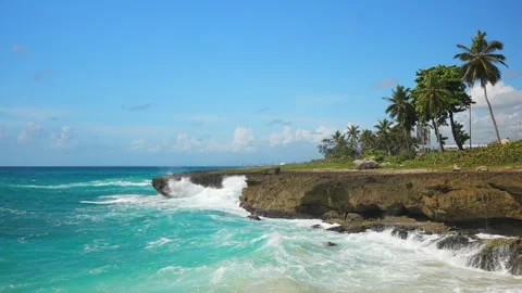 Slow motion of big waves breaking on a rocky shore with palm trees along the las Stock Footage 256081243