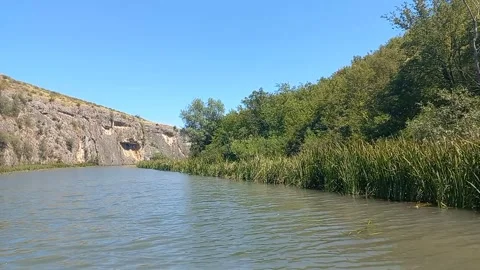 Slow Motion Bird in Flight. Eco trail Iskar Panega with a Boat Trip on the river Stock Footage 274398629