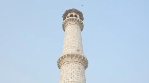 Slow Motion Bird Flight from Taj Mahal Minaret, White Marble Tower Detail, Vídeos de archivo 329762353