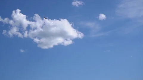 Slow motion. A bird of prey is looking for prey flying against the blue sky. Stock Footage 92719873