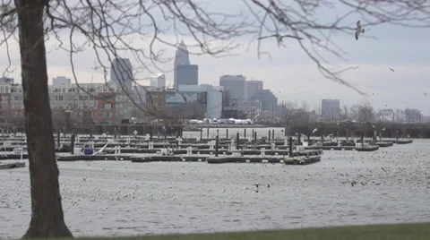 Slow motion of birds flying against city skyline shot of Cleveland Ohio Stock Footage 33236465