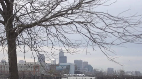Slow motion of birds flying against city skyline shot of Cleveland Ohio Stock Footage 33236691