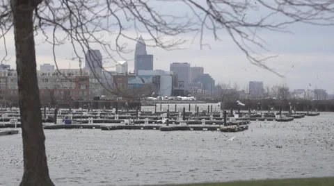 Slow motion of birds flying against city skyline shot of Cleveland Ohio Video stock 33237056
