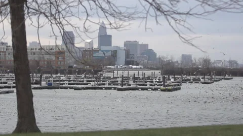 Slow motion of birds flying against city skyline shot of Cleveland Ohio Stock Footage 33237780