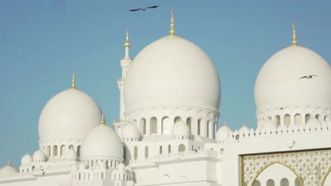 Slow motion Birds In font of Sheikh Zayed Grand Mosque Abu Dhabi Stock Footage 150665532