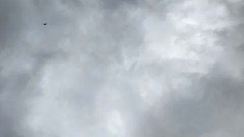 Slow motion; a black bird oddly flies toward the ground in this ominous skyscape Stockbeeldmateriaal 337575680