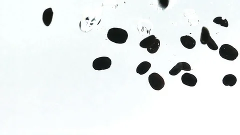 Slow motion black coffee beans drop and smoothly drowning in clear water Vídeos de archivo 90811775