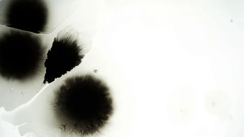 Slow motion black ink drop on white background Stock Footage 72476254