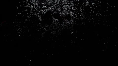 Slow motion blackberry falling into transparent water on black background Stock Footage 190482380