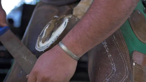 Slow motion of blacksmith preparing horse for new horseshoe Stock Footage 255837514