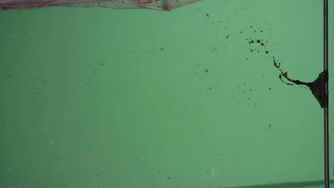 Slow motion blood squibs exploding, spraying blood across the screen on green 動画素材 92654350