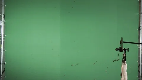 Slow motion blood squibs exploding, spraying blood across the screen on green Stock Footage 92654376