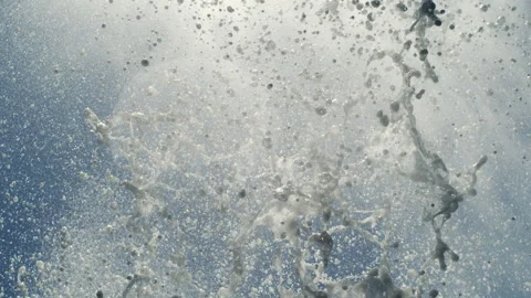 Slow Motion Blowhole Spray Forms Arc in Ocean Air Vidéo 309787568