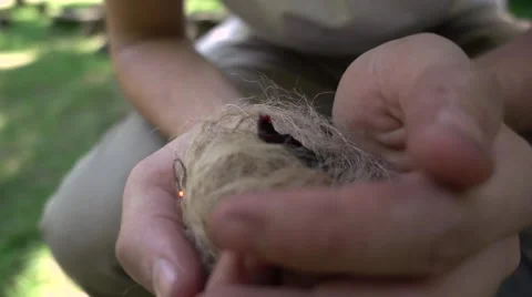 Slow Motion Blowing On Fire Kindling For Survival Stock Footage 64296258