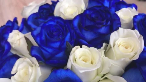 Slow motion of blue and white roses. Wedding bouquet. Detailed close-up flowers Stock Footage 244927405