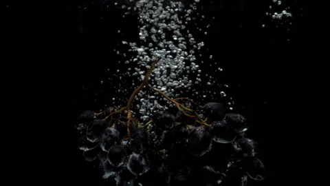 Slow motion blue grapes falling into transparent water on black background Stock Footage 170128274