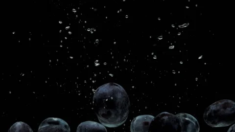 Slow motion blue plums falling into transparent water on black background Stock Footage 160128988