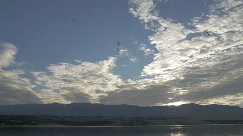 Slow motion at blue sky with seagull at summer on vacation Stock Footage 54218433
