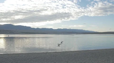 Slow motion at blue sky with seagull at summer on vacation Stock Footage 54218497