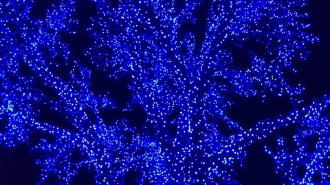 Slow Motion Blue Tree Lit Up 動画素材 81374478