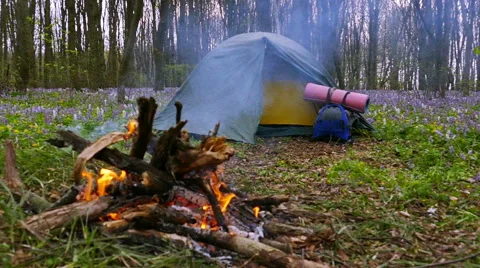 Slow motion . BonFire, campfire and tourist tent camping Vidéo 62473241