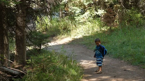Slow motion of boy hiking through the forest on a hiking trail Stock Footage 95218874