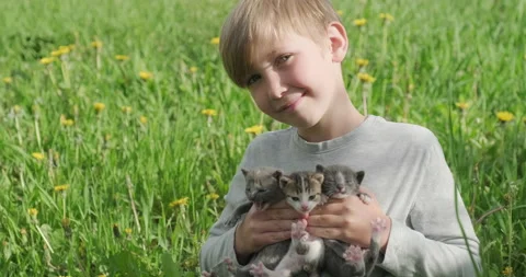Slow motion - Boy holds small kittens in his hands.  Happy child with kittens Stock Footage 135915449