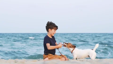 Slow motion boy hugging his dog Jack Russell and playing with a leash with her Stock Footage 100707188