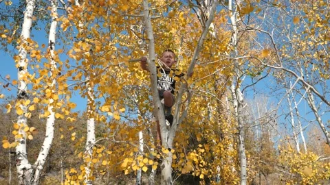 Slow motion boy shaking leaves out of a tree Stock Footage 154192647