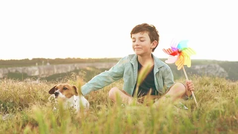 A slow motion boy sits on the grass, plays with dog Jack Russell, windmill Stock Footage 91738558