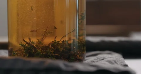 Slow motion brewing black tea with thyme and mint in beaker glass closeup Stock Footage 128653562