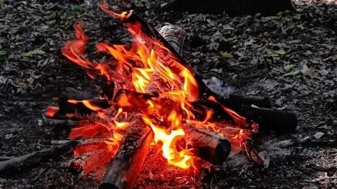 Slow Motion Bright Campfire Flames and Wood Video stock 342162138