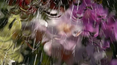 Slow motion of bright rain on flat transparent glass. Stock Footage 99143953