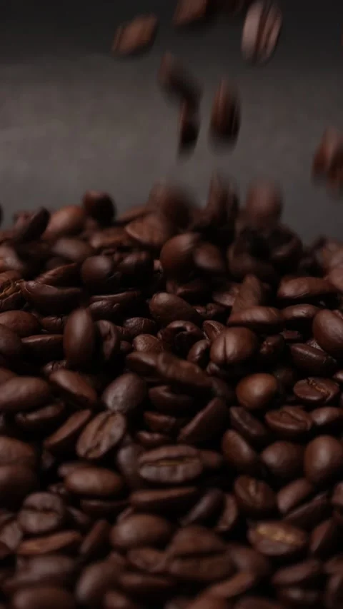 Slow motion of brown coffee beans Stock Footage 317732015