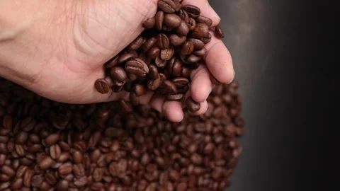 Slow motion of brown coffee beans Stock Footage 317732016