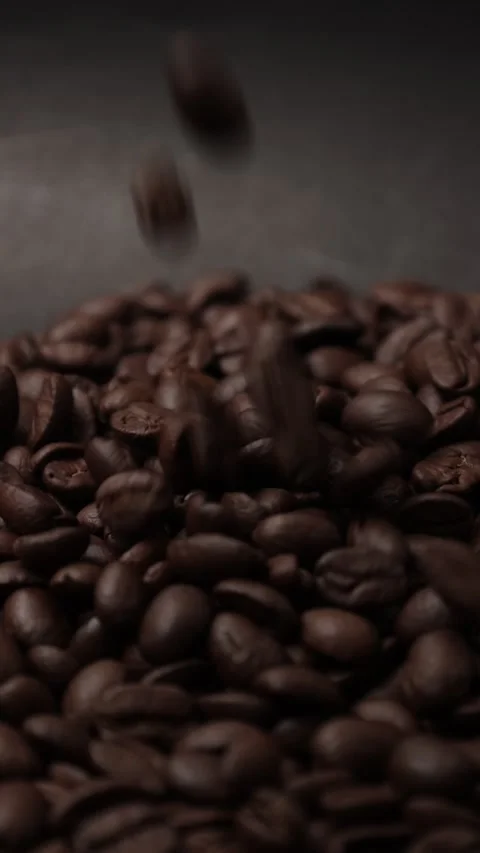 Slow motion of brown coffee beans Stock Footage 317732018