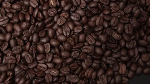 Slow motion of brown coffee beans Stock Footage 317732021