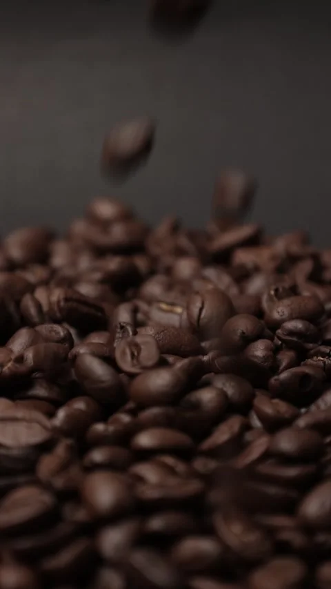Slow motion of brown coffee beans Stock Footage 317732024