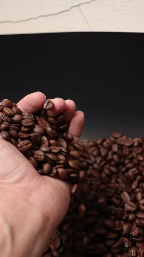 Slow motion of brown coffee beans Stock Footage 317732025