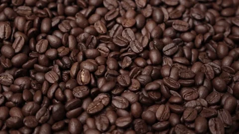 Slow motion of brown coffee beans Stock Footage 317732028
