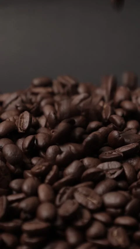 Slow motion of brown coffee beans Stock Footage 317732032