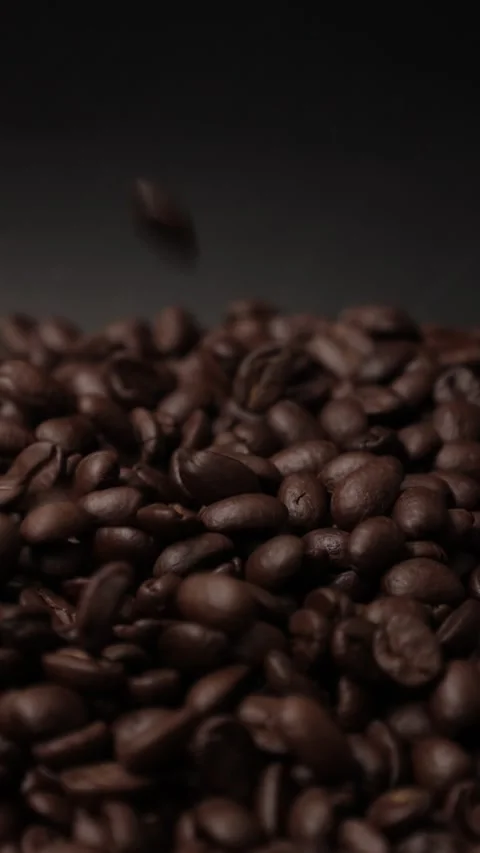 Slow motion of brown coffee beans Stock Footage 317732034