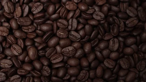 Slow motion of brown coffee beans Stock Footage 317732035