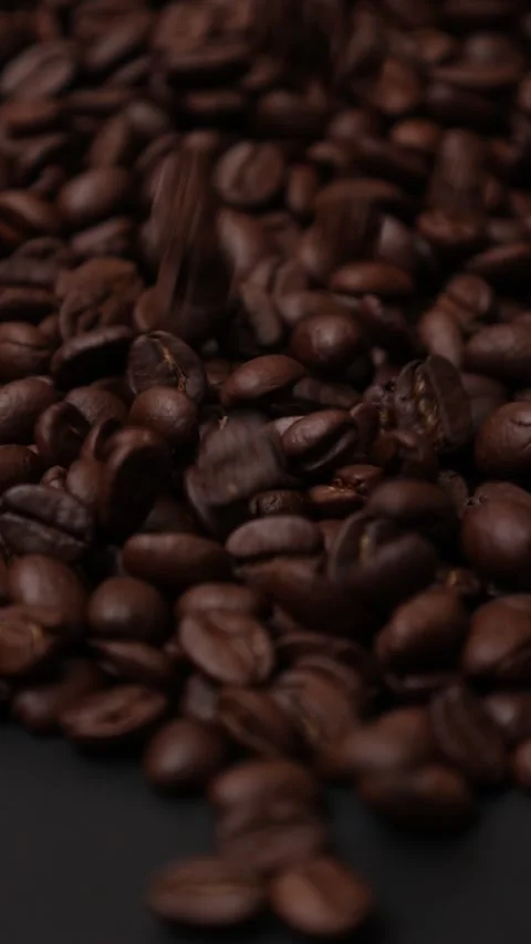 Slow motion of brown coffee beans Stock Footage 317732037