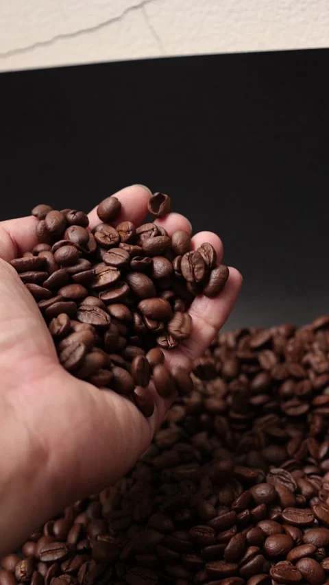 Slow motion of brown coffee beans Stock Footage 317732039