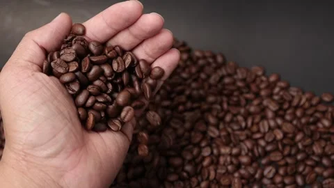 Slow motion of brown coffee beans Stock Footage 317732042