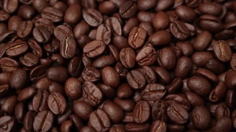 Slow motion of brown coffee beans Stock Footage 317732059