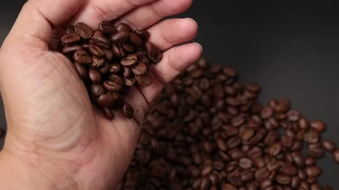 Slow motion of brown coffee beans Stock Footage 317732064