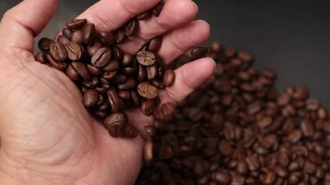 Slow motion of brown coffee beans Stock Footage 317732066